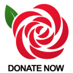 rose-donate-150x150